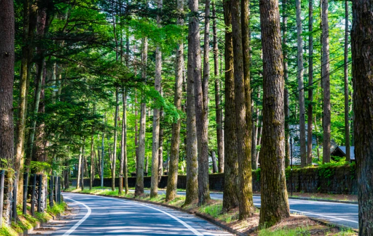 軽井沢エリアの風景
