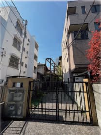 現地写真